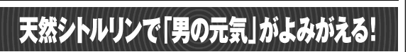 ŷȥǡˤθפߤ롪